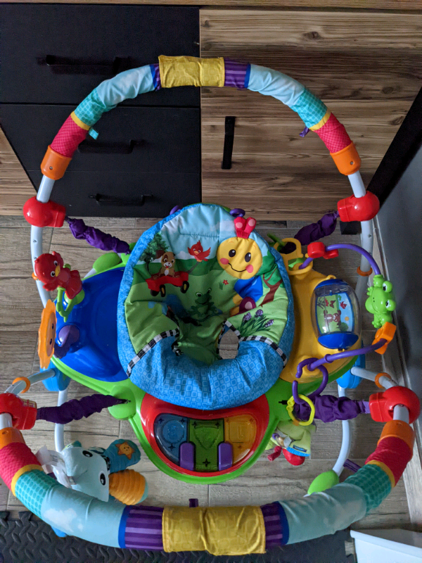 baby einstein jumper used